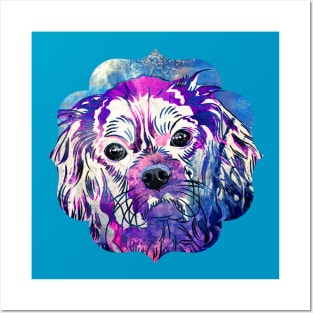 Cavalier King Charles Spaniel Posters and Art